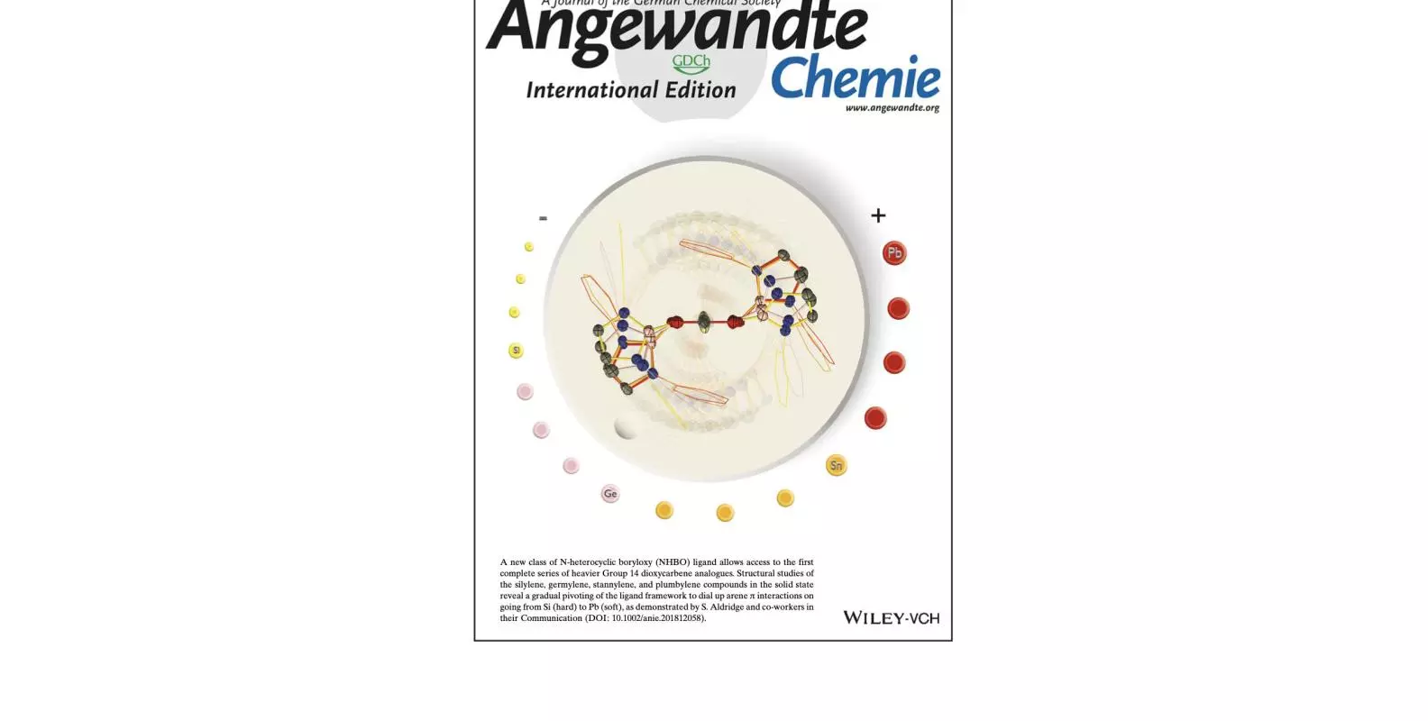 Angewandte cover
