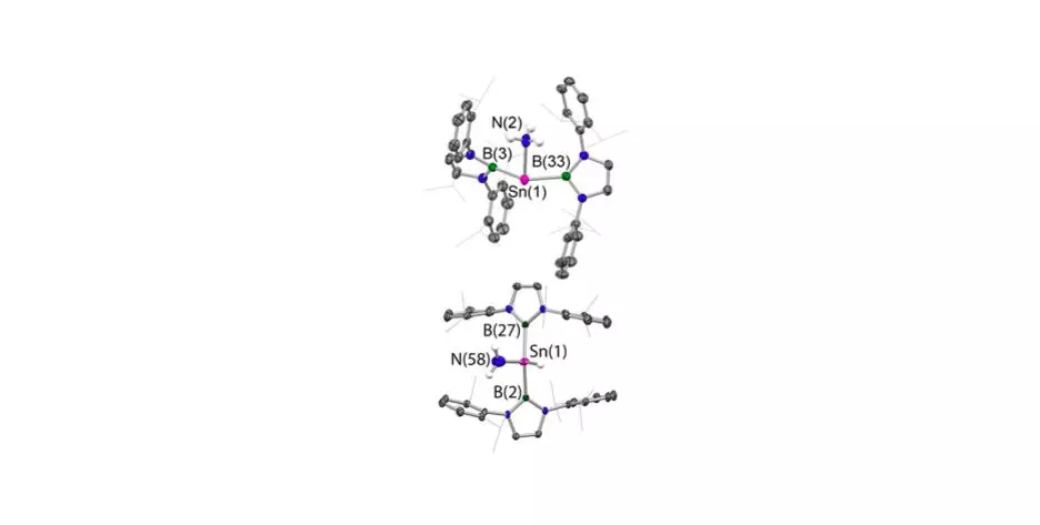 Ammonia N-H activation at tin