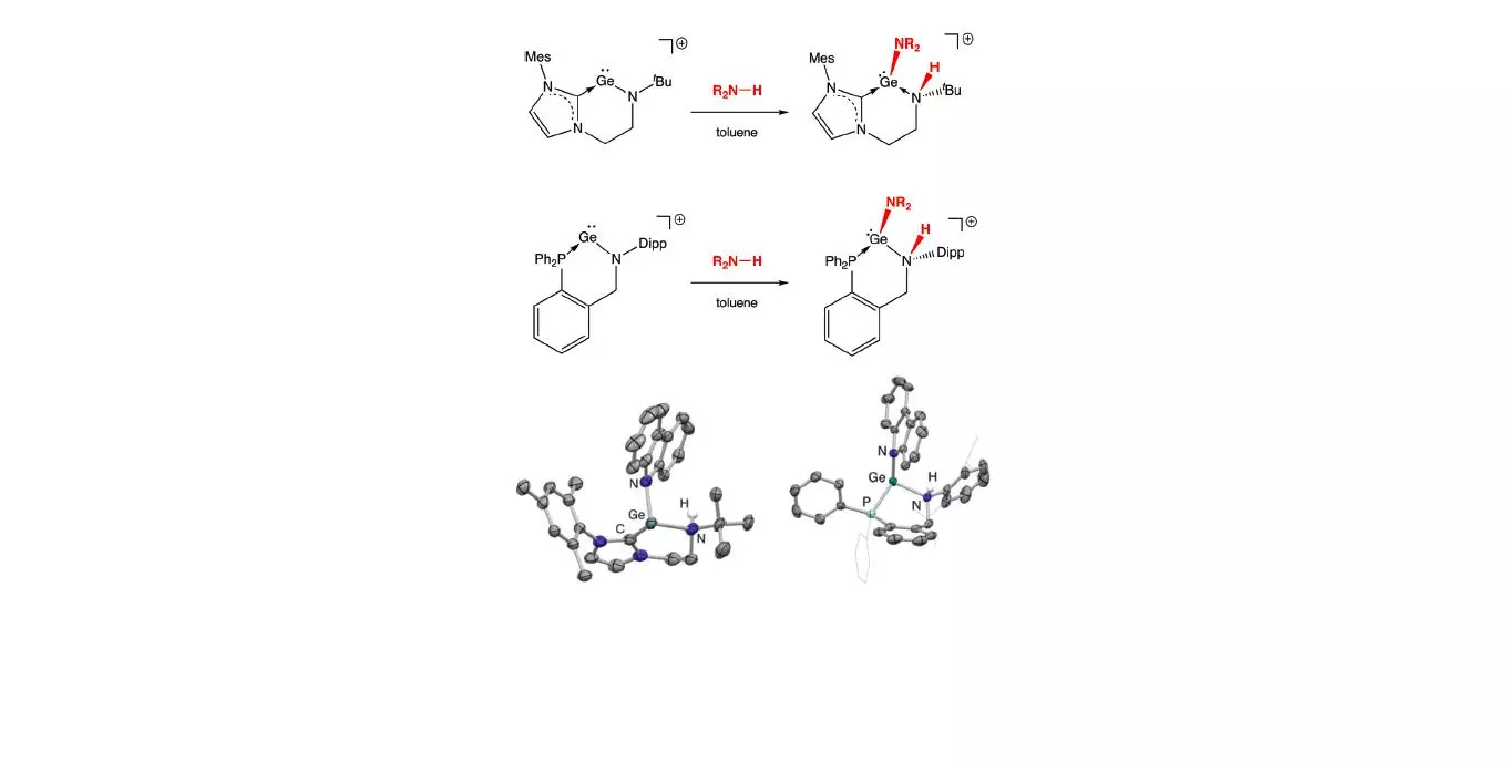 Cooperative N-H bond activation