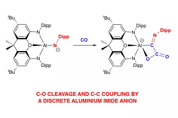 imide co activation edited 1