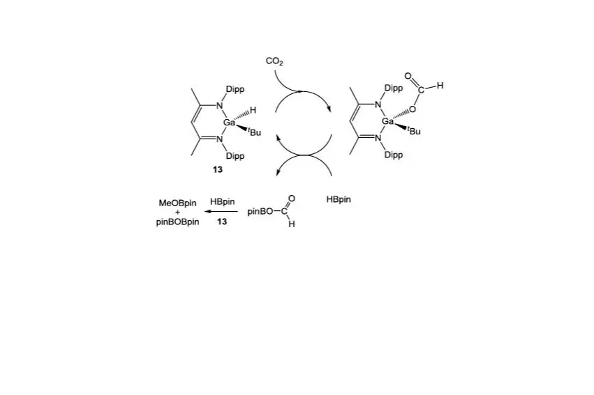 Angew. Chem., Int. Ed. 2015, 54, 5098